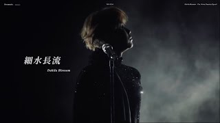 【4K】張敬軒 Hins Cheung — 《細水長流》Dahila Blossom - The Prime Classics Opus II澳門演唱會2024 📁191024