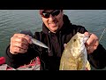 Top Lures for September and Why | Fall Bass Fishing Tips