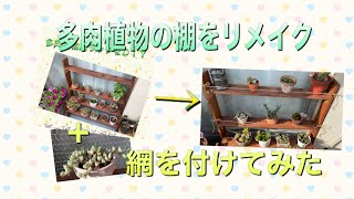 多肉植物の棚をリメイク　網を付けてみました　　#多肉植物用ラック手作り #多肉植物の棚