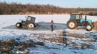 Свиня болото найде.