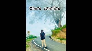 ATANAZIO || CHORA CAROLINA || COVER