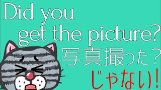 【差がつく!】日本人が知らないpictureの使い方。[picture=写真]じゃ不十分