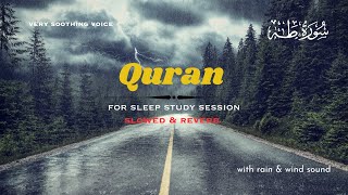 Lofi Quran | Surah Taha for Healing Study Session | Relaxing Quran Recitation