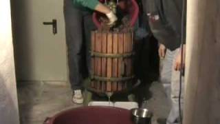 Video Le Torri - Vinsanto grapes pressed - 3 -