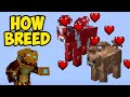 MINECRAFT How to Breed MOOSHROOM (2024)