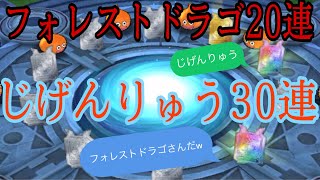 【ドラゴンクエストタクト】じげんりゅう30連＋フォレストドラゴ20連