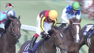 2020 安田紀念賽 Yasuda Kinen 安田記念 放聲歡呼 Gran Alegria グランアレグリア 池添謙一