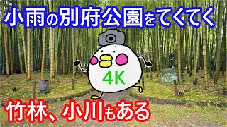 【4Kビデオ散歩】小雨の降る別府公園をてくてく【3倍速】