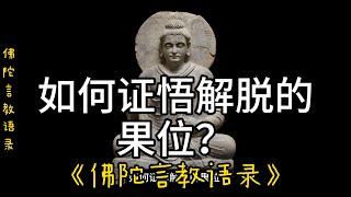 61.如何证悟解脱的果位？《佛陀言教语录》