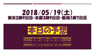 2018 05 19土 【着順・払戻】 中央競馬 東京3R 競馬予想　バルトフォンテン