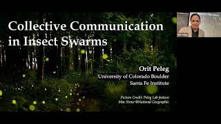 Collective Communication in Insect Swarms with Orit Peleg