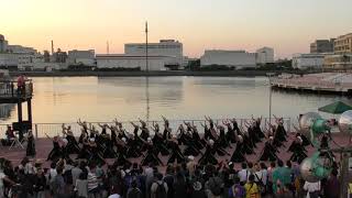 2017/千葉よさ前夜祭 - 余興(法政大学風遥恋)