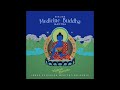 medicine buddha sanskrit mantra vidura barrios