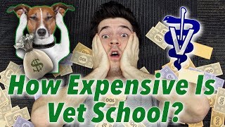 This Is How Much Vet School Really Costs
