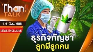 ธุรกิจกัญชา ลูกผีลูกคน | THANTALK