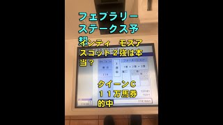 ２０２０年　フェブラリーステークス予想【ぜんこうの競馬予想　クイーンカップ１１万９千円馬券的中】