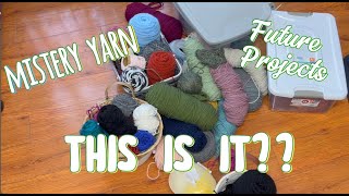 Yarn Destash With A Purpose| Shop My Small Stash \u0026 Organizing 🧶📝