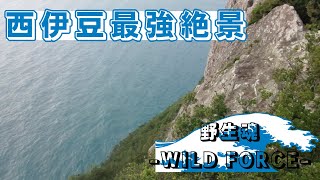 【西伊豆最強絶景伝説】　雲見烏帽子山超絶景