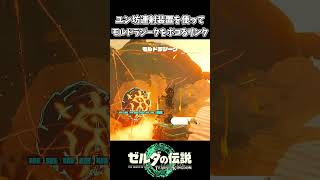 【ティアキン】ユン坊連射装置でモルドラジークをボコるリンク【ゼルダの伝説 ティアーズ オブ ザ キングダム】