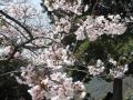 蓮華寺山の山頂風景　広島県広島市