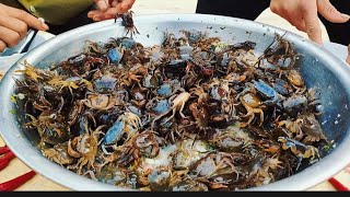 Ăn gỏi Cua Sống | Go To The Deep Forest To Catch Crab And Eat Alive