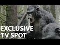 Dawn of the Planet of the Apes | Official TV Spot HD | In Cinemas July 17