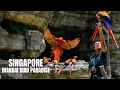 Singapore Mandai Bird Paradise Grand Opening (Asia's Largest Bird Park)