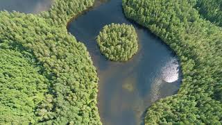 Beautiful lakes from Karelia / Russia | Очаровательные озёра Карелии 4K / relax