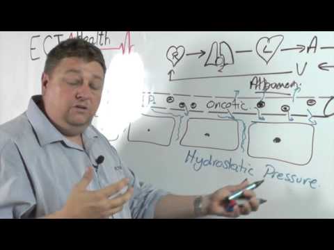 What is the liquid that leaks out of capillaries?