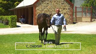 LOT 475, CHOISIR X LARA'S GLITTER, COLT