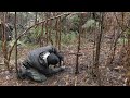 Survival Trapping Ep1.Australian Bushcraft Survival.