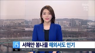 [대전MBC뉴스]봄나물 최대 산지 충남...해외서도 인기