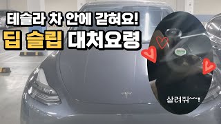 테슬라 잘못하면 차 안에 갇힙니다!! (딥슬립 모드)