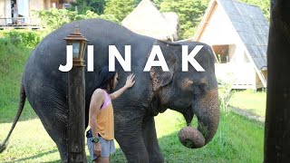 EXPLORE CHIANG MAI THAILAND | PART 1