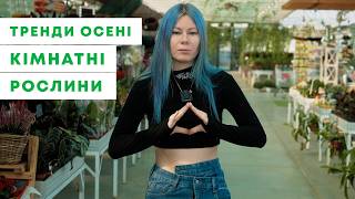 СТИЛЬНІ РІШЕННЯ ДЛЯ ОСЕЛІ | Оновлюємо Простір за Допомогою Кімнатних Рослин #2 | Agro-Market