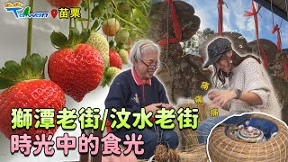 【GoGoTaiwan】苗栗｜浪漫台三線「樟之細路」行｜特色客家美食\