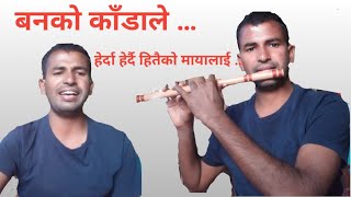 Banko KanDale Dohori Song | बनको काँडाले,हेर्दाहेर्दै हितैको मायालाई छेक्यो डाँडाले By BishnuDangi