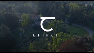 ATINATI: TSINANDALI MUSIC FESTIVAL 2020