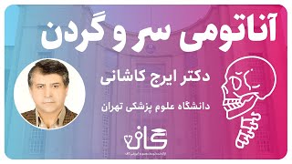 آناتومی سر و گردن - استخوان شناسی - ( part 1 )