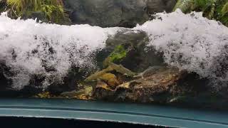 マリホ水族館②