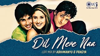 Dil Mere Naa Aur Intezaar Kar - Lofi Mix | Fida | Shahid, Kareena | Udit Narayan | Alka Yagnik