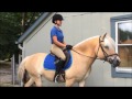 grounding the feet anatomy in motion™ and centered riding®