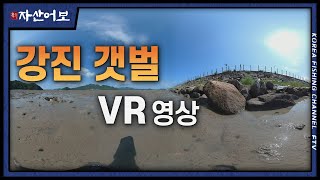 [신자산어보] 강진만 갯벌 VR 영상