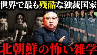 【総集編】9割が知らない北朝鮮の怖すぎる雑学【作業用/睡眠用】