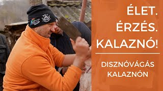 Élet. Érzés. Kalaznó! - Disznóvágás Kalaznón