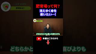 【2025.02.21】なぜ？引退馬が行方不明なの？実際は、どうなる引退競走馬のその後。#horse　#馬術部　#競馬　#riding　#リタッチ馬　#引退馬　#引退競走馬　#引退馬の保護