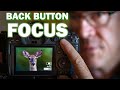 BACK-BUTTON FOCUS DEMYSTIFIED: Learn why back-button focus is great for photographers!