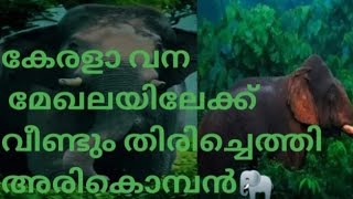 കേരളാ വനമേഖലയിലേക്ക് വീണ്ടും തിരിച്ചെത്തി അരികൊമ്പൻ #Arikomban #Idukki #news