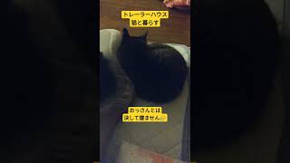 トレーラーハウス　猫はかみさんと寝る