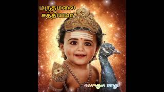 மருதமலை சத்தியமா 🙏🦚#murugansongs #muruganbakthisongs #tamildevotionalsongs